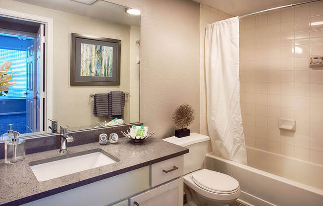 Bathroom Photo at Stone Cliff Apartments