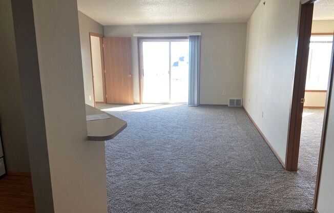 2 beds, 1 bath, 825 sqft, $993, Unit 313N