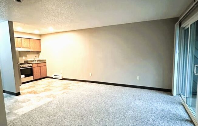 Studio, 1 bath, 440 sqft, $1,085, Unit 216