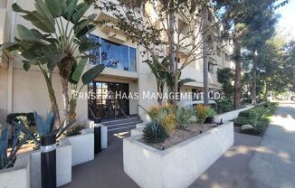 535 Magnolia Avenue