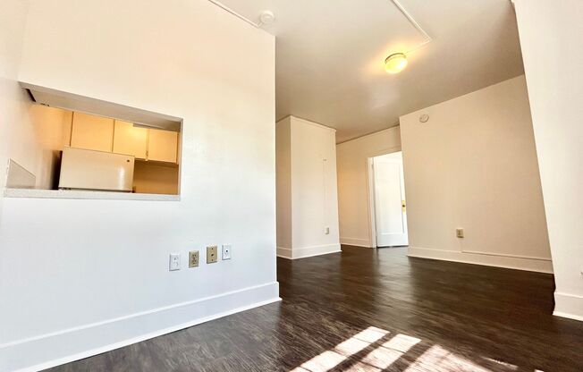 1 bed, 1 bath, 335 sqft, $1,450, Unit 308