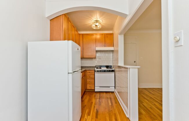 Studio, 1 bath, $1,250, Unit 409