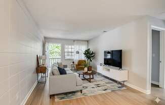 A living room with a grey couch, a wooden chair, a television, and a rug.