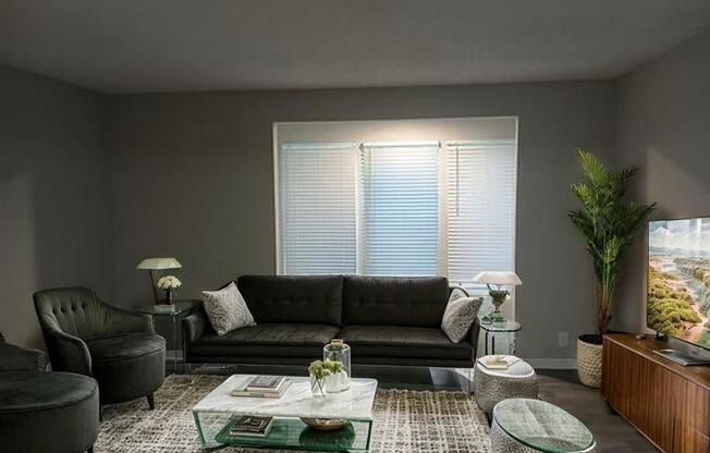A living room with a black couch, a glass coffee table, and a large window with blinds.