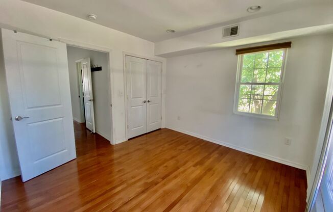 1 bed, 1 bath, $1,600