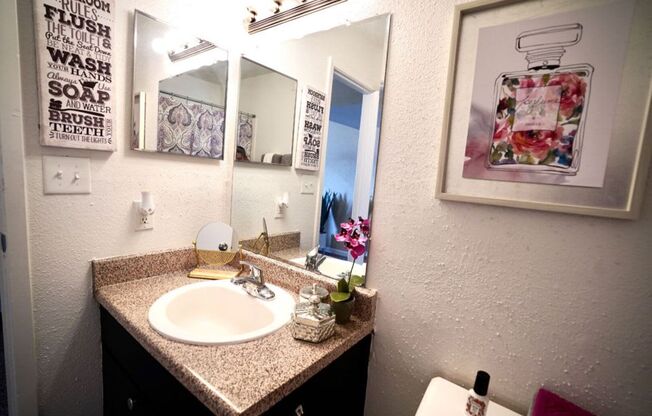 a bathroom with a sink and a toilet