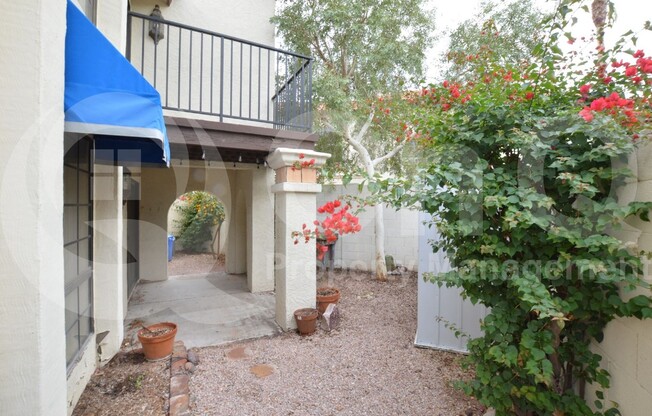 5054 E SIESTA DR