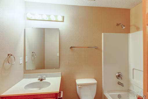 a bathroom with a toilet and a sink and a mirror