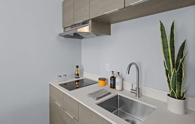 Studio, 1 bath, 360 sqft, $1,395, Unit 542