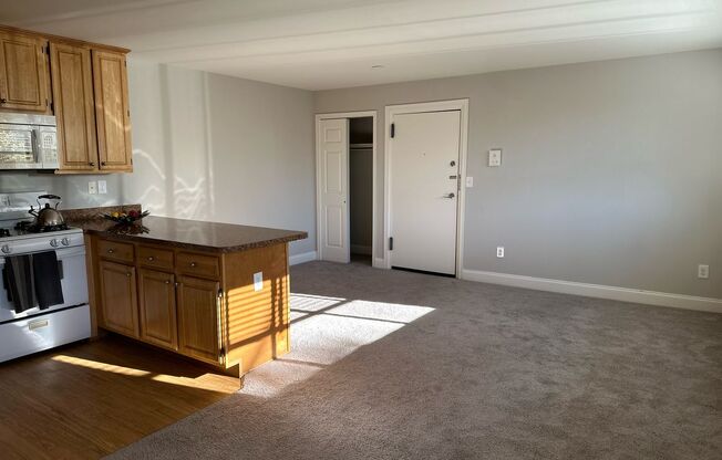 1 bed, 1 bath, 578 sqft, $1,450, Unit F03