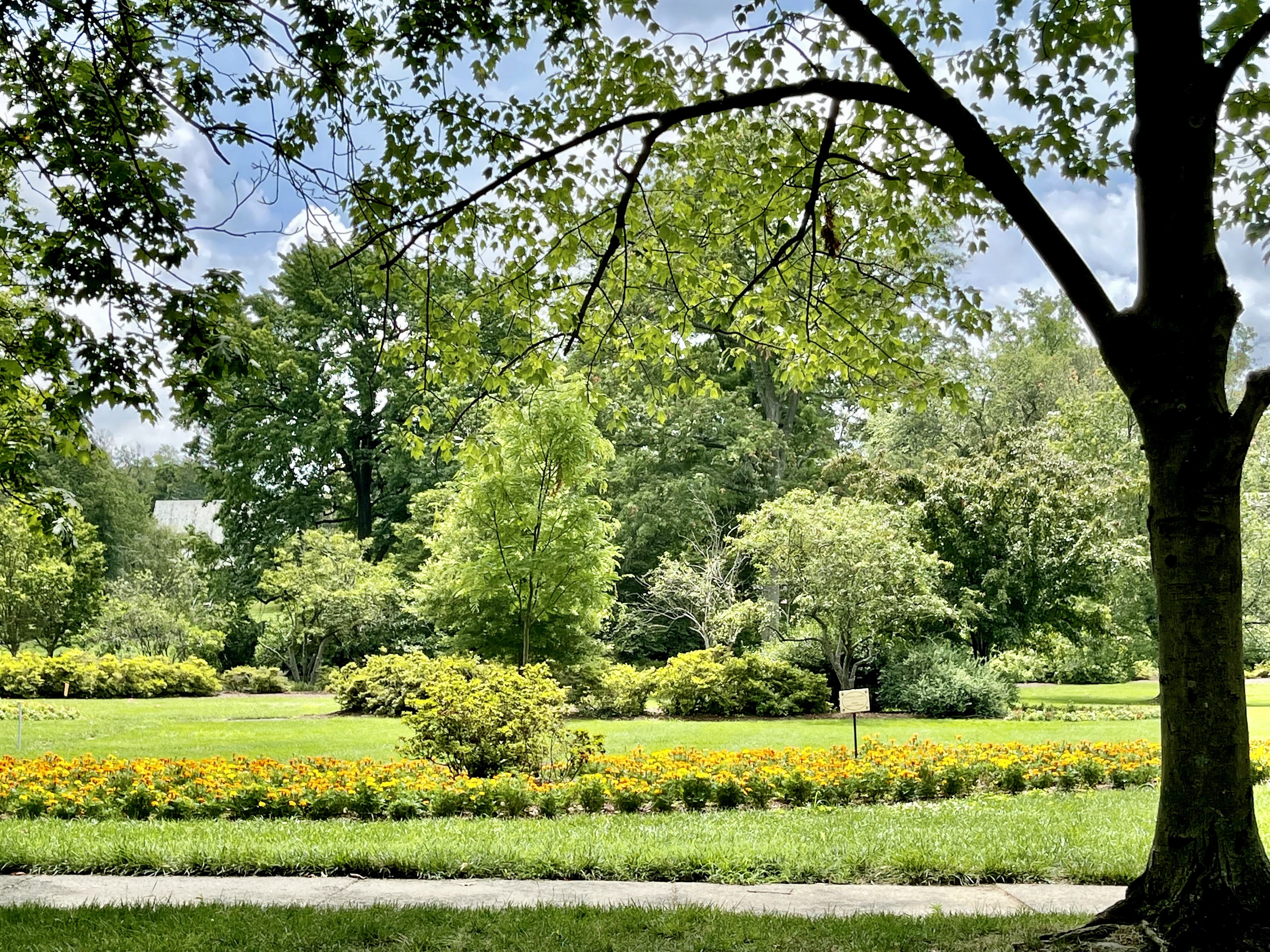 Guilford's Sherwood Gardens