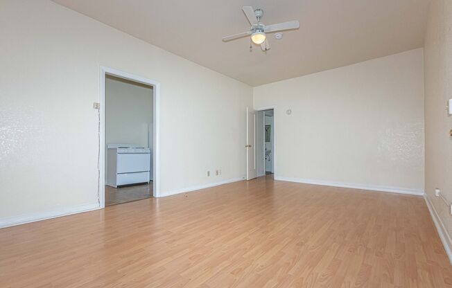 Studio, 1 bath, 555 sqft, $1,575, Unit 312