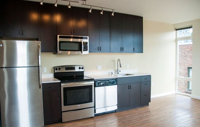 Studio, 1 bath, 407 sqft, $1,495, Unit 508