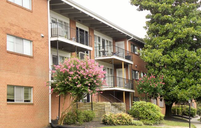 1 bed, 1 bath, 500 sqft, $999