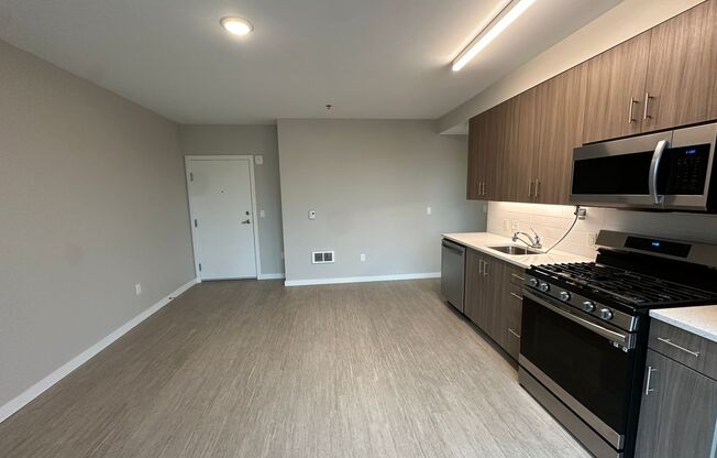 Studio, 1 bath, 319 sqft, $1,189, Unit 201