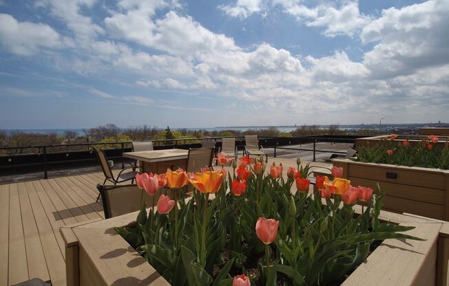 2 beds, 1.5 baths, 850 sqft, $1,650, Unit 308