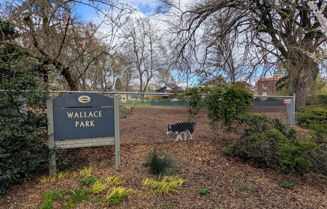 Studio, 1 bath, 308 sqft, $1,170, Unit 25