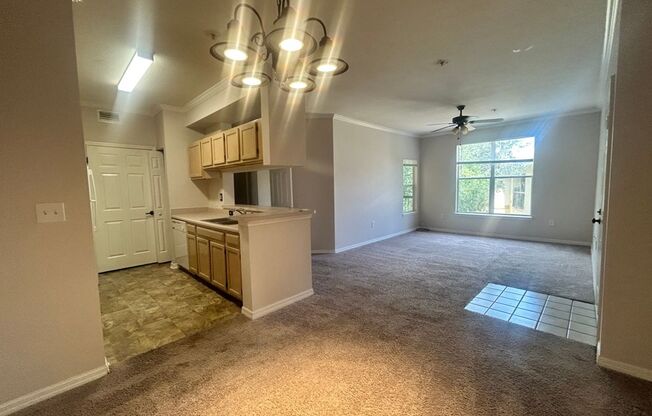 1 bed/1 bath with Den in CARROLLWOOD AREA: 3rd floor unit at The Pinnacle AVAILABLE NOW!