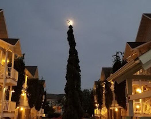 2 beds, 2 baths, 915 sqft, $2,575, Unit 4346-15