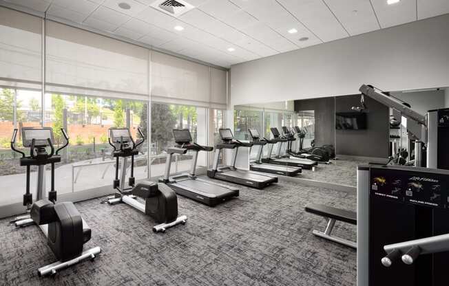 a row of treadmills and exercise machines in a room with large windows