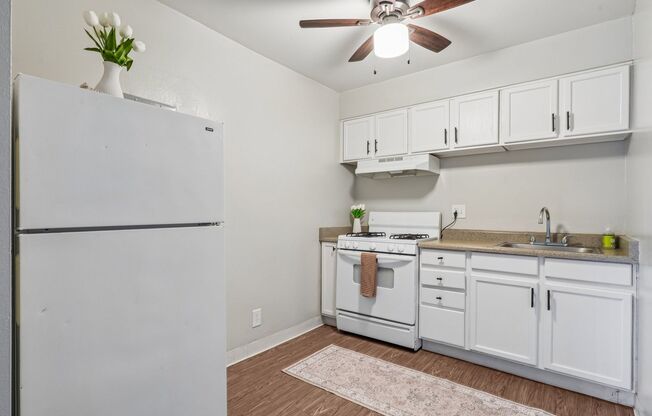 Studio, 1 bath, 366 sqft, $1,225, Unit 47