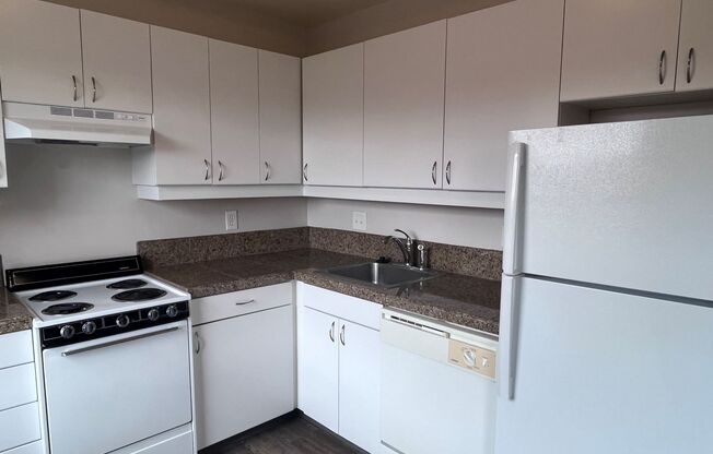 Studio, 1 bath, 322 sqft, $995, Unit 205