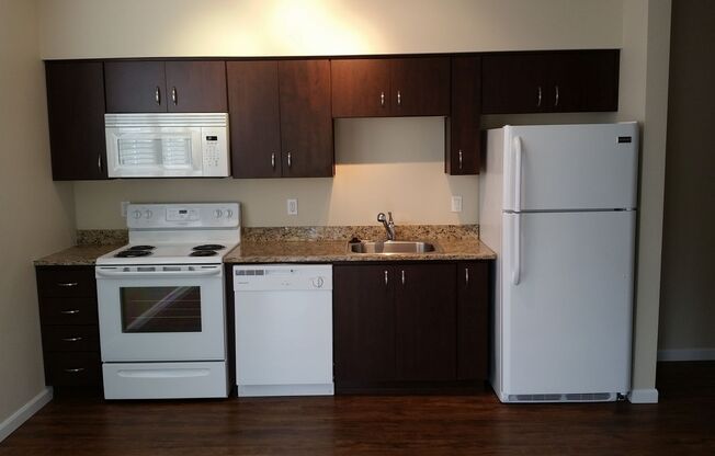 1 bed, 1 bath, 466 sqft, $1,350, Unit 1-114