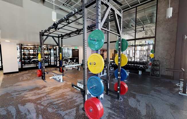 our squat rack fitness center