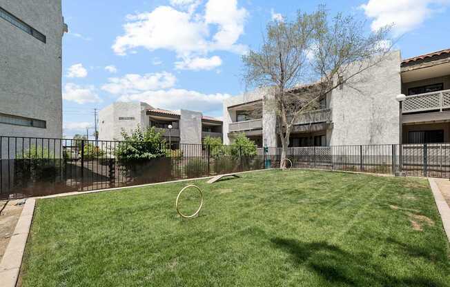 A grassy area with a ring in the middle of it.