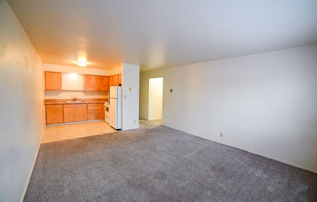 1 bed, 1 bath, 575 sqft, $895, Unit 203