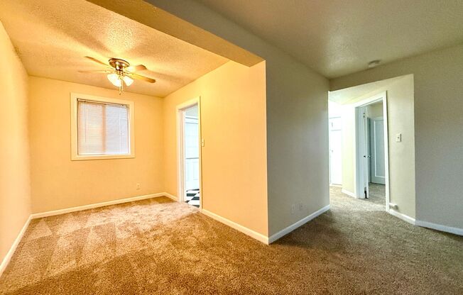 1 bed, 1 bath, $1,299, Unit 3