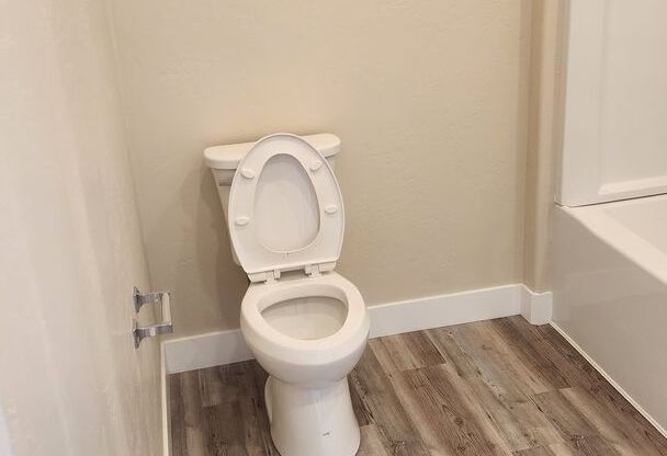 Studio, 1 bath, $1,100, Unit 207