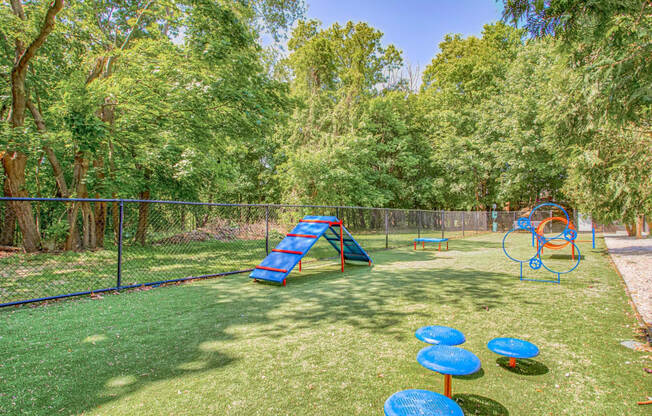 Off-Leash Dog Park at Windsor Ridge at Westborough, Westborough, 01581