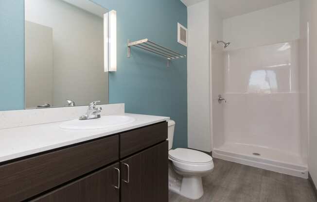 large bathroom with walk in shower