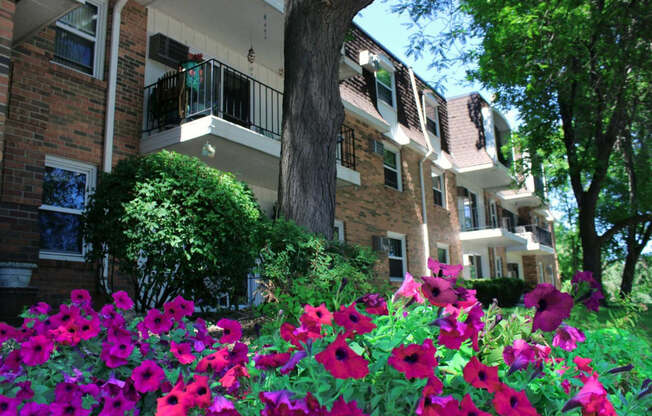Garden of Flowers in Courtyard of West St. Paul Apartment