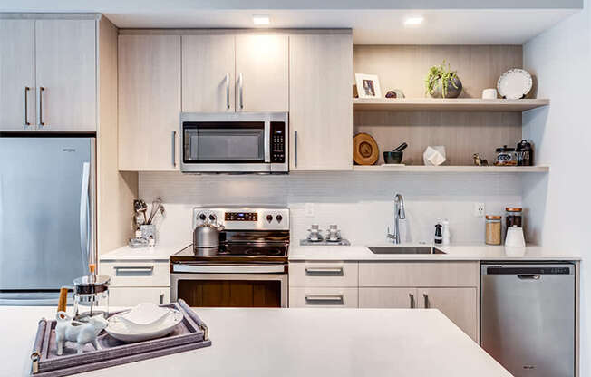 Velo Forest Hills Apartments - Jamaica Plain apartments in Boston - kitchen