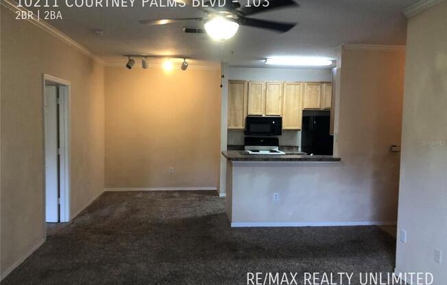 10211 COURTNEY PALMS BLVD