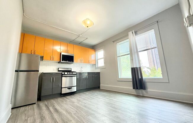 1 bed, 1 bath, 348 sqft, $1,225, Unit 203