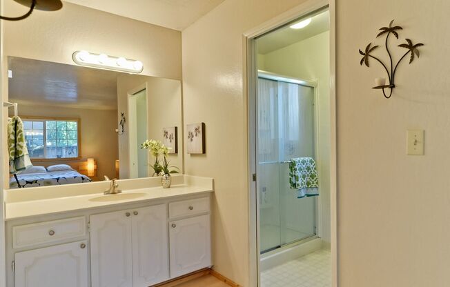 Gorgeous Three Bedroom Two Bathroom in San Jose
