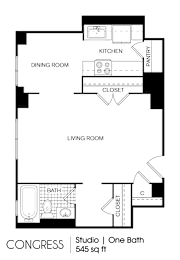 Studio, 1 bath, 545 sqft, $926