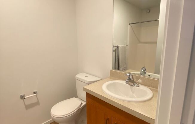 Studio, 1 bath, 170 sqft, $1,350, Unit 2300