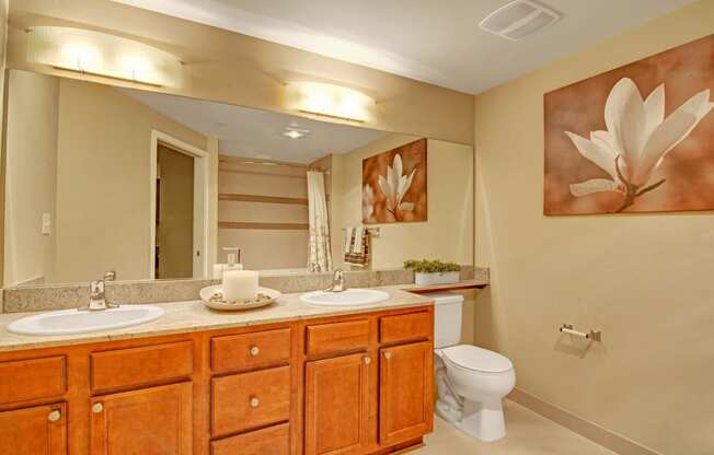The Artiste Bathroom Apartments in Shoreline, WA