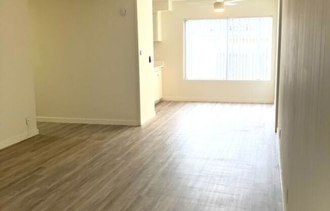 1 bed, 1 bath, $2,595, Unit 304