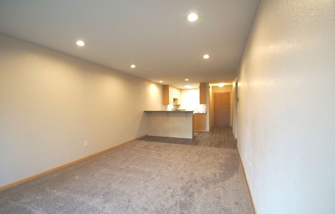 1 bed, 1 bath, 780 sqft, $1,334, Unit 302