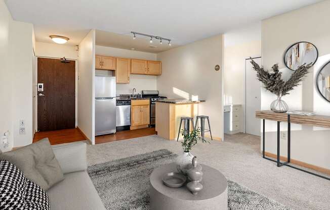 A modern living room with a grey sofa and a grey rug.