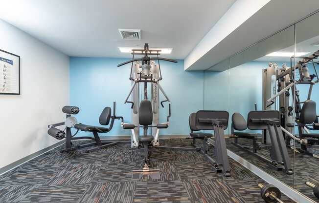 gym cable machine weights