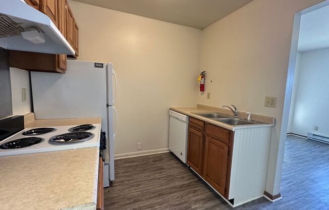 1 bed, 1 bath, 470 sqft, $850, Unit Apt 01