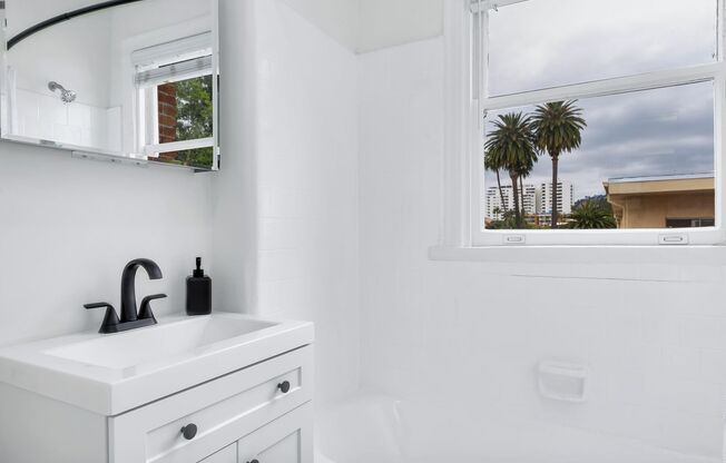 Studio, 1 bath, 510 sqft, $1,900, Unit 411