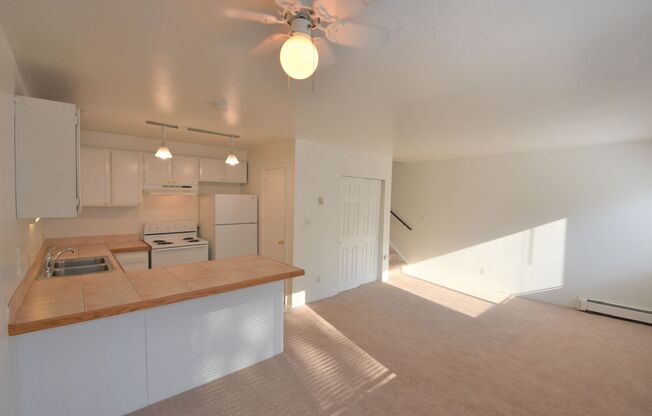 2030 Spruce St.