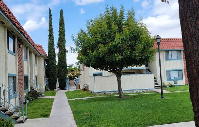 Walkway and beautiful trees and grass at Magnolia Apartments in Riverside, California.